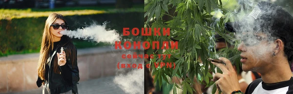 ALPHA-PVP Вяземский