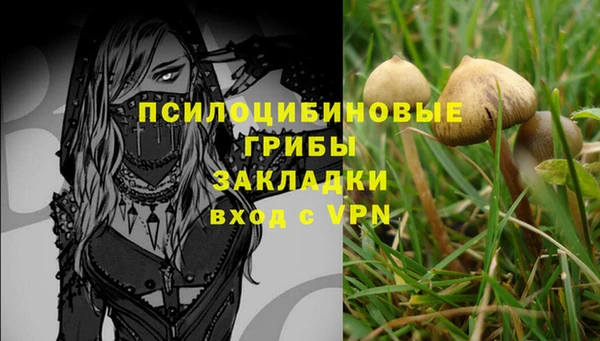 ALPHA-PVP Вяземский