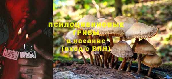 ALPHA-PVP Вяземский