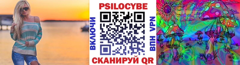 Псилоцибиновые грибы Psilocybine cubensis  Елизово 