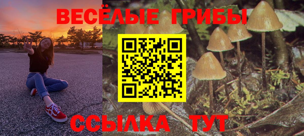 Псилоцибиновые грибы мицелий Елизово