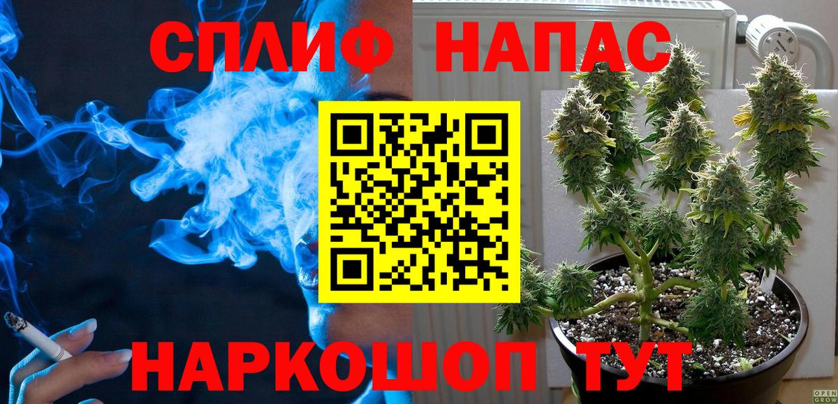 МАРИХУАНА ГИДРОПОН Елизово